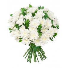Букет 15 хризантем