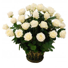 Корзина из 25 роз
